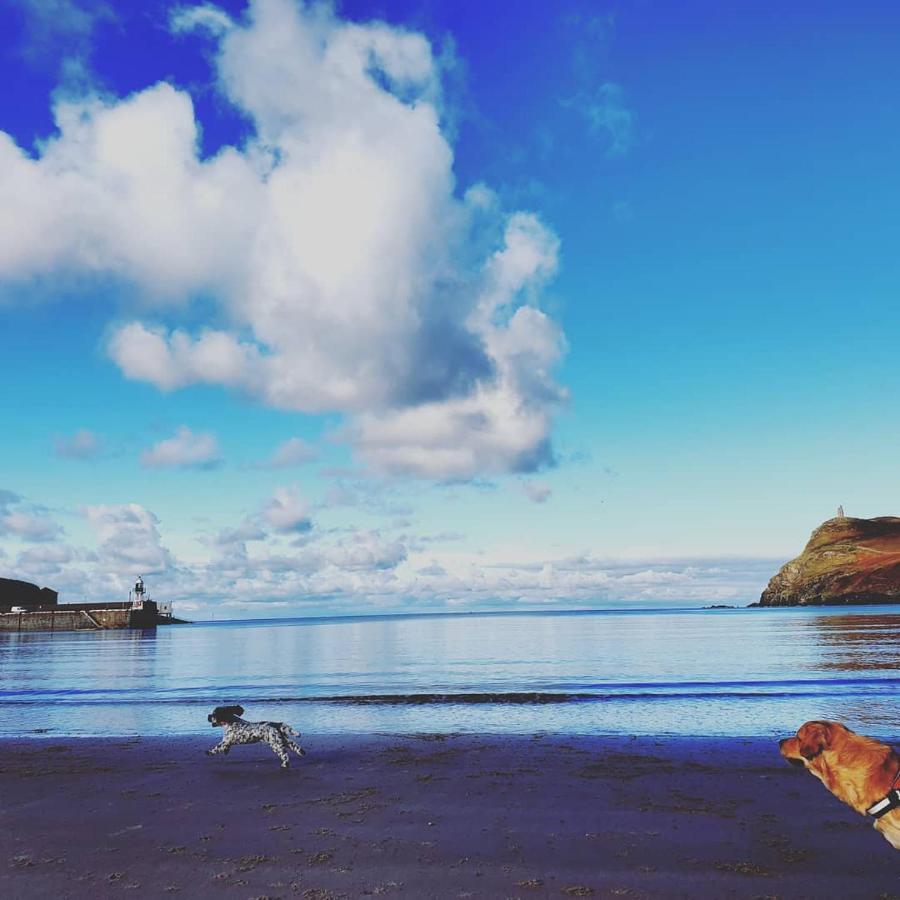 Gorgeous Cottage By Sandy Beach Dog Friendly Port Erin Exterior foto